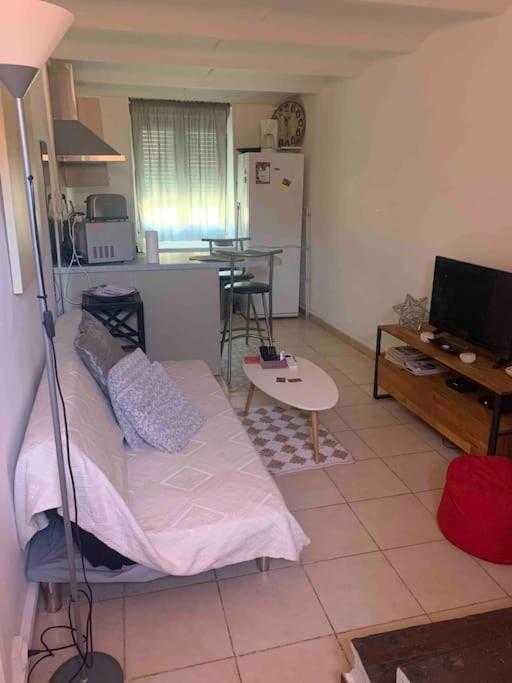 Fabienne Cote Jardins De La Fontaine Apartman Nîmes Kültér fotó